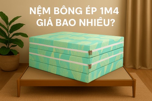 Nệm Bông Ép 1m4 Giá Bao nhiêu 